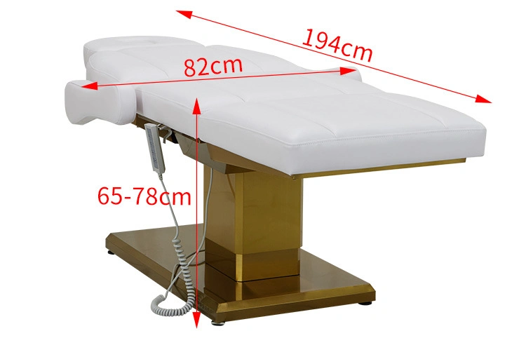 Hq Heating Electric Beauty Bed Massage Table with LED Light Facial Bed Massage Bed Electric 2 Motors for Backrest Legrest