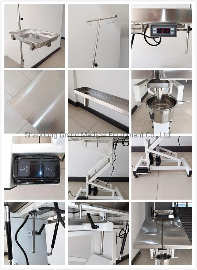 Electric Lifting Animal Shape Table Veterinary Heating Pet Operation Surgical Table V Shape